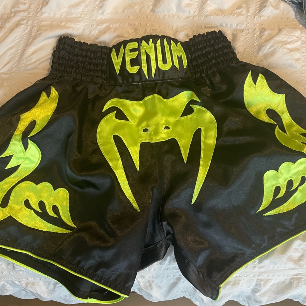 Venum Muay Thai Shorts